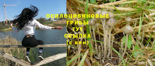 тгк Козловка