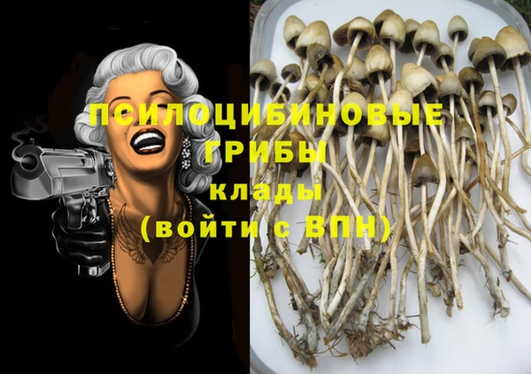 дживик Кодинск