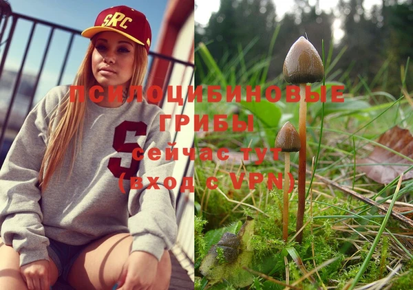 тгк Козловка