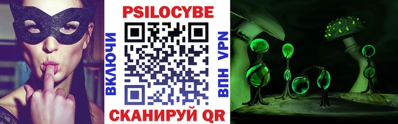 Купить  Светлый  Псилоцибиновые грибы Psilocybe 